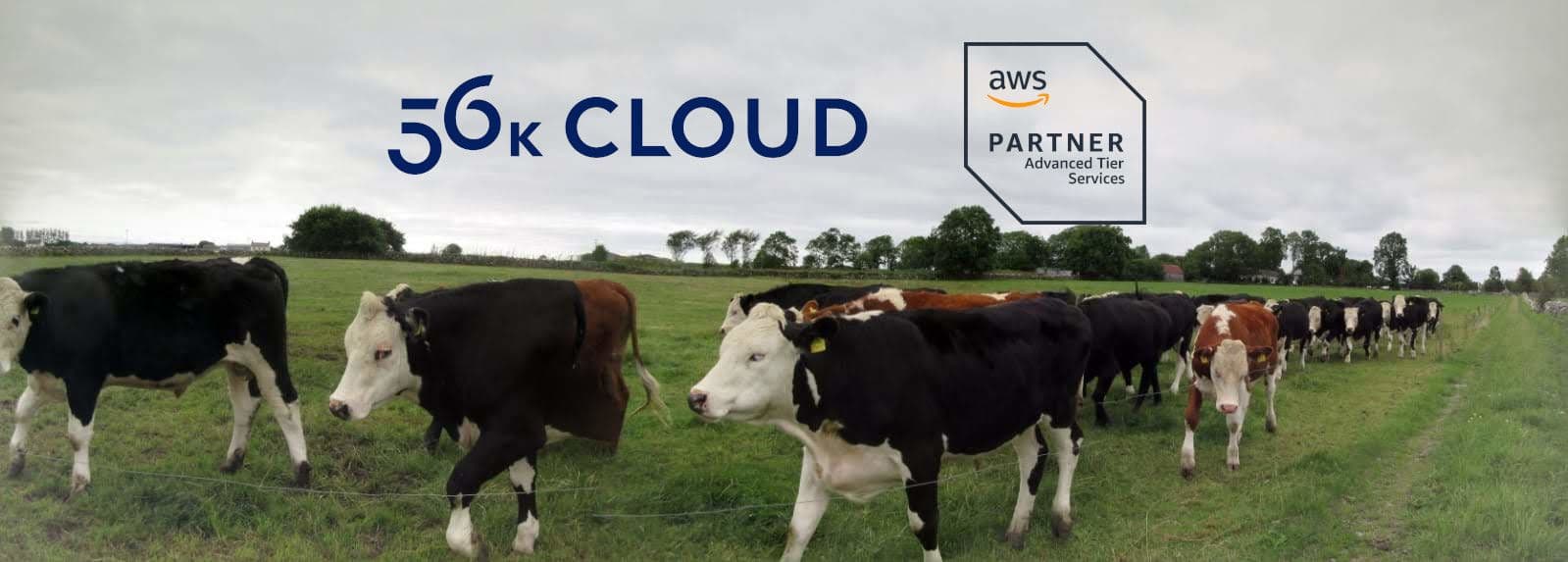 ACP Engineering reaches AWS Advanced Partner Status!